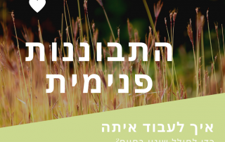 התבוננות