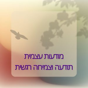מודעות עצמית תודעה וצמיחה רגשית